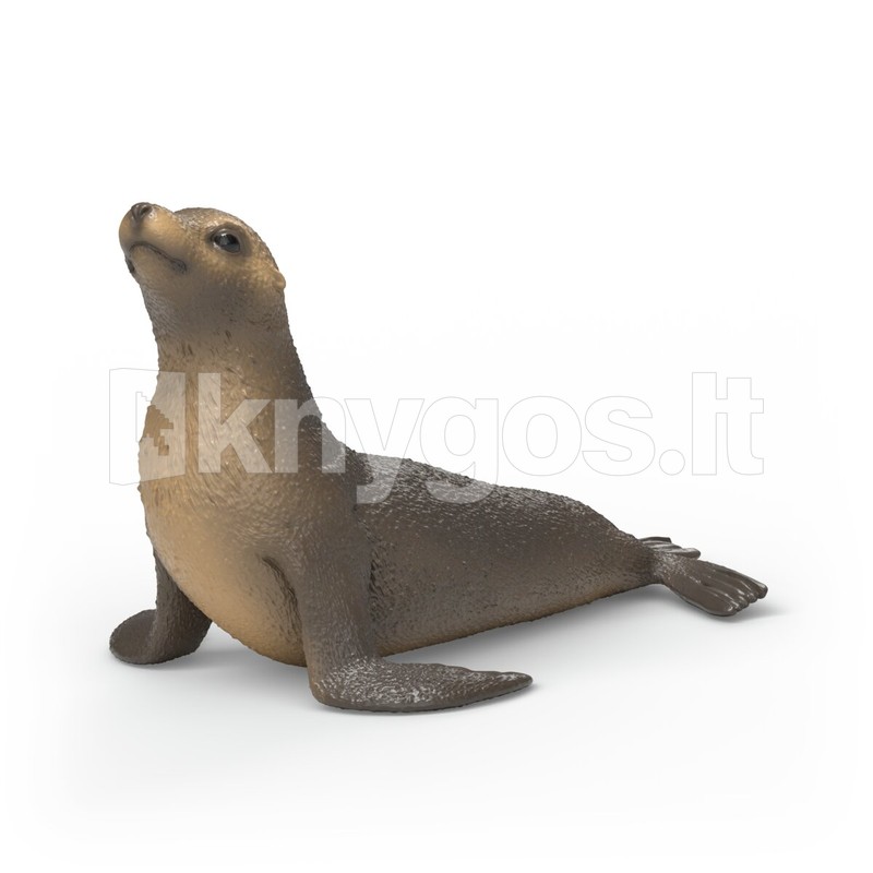SCHLEICH WILD LIFE Jūras lauva
