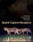 Spatial Capture-Recapture