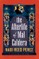 Reed Perez, N: Afterlife of Mal Caldera