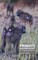 Isbell, L: Primate Socioecology