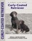 Curly-Coated Retriever