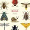 Little Guide to Bugs