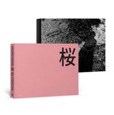 Daido Moriyama: Blossom