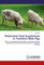K., R: Polyherbal Feed Supplement In Yorkshire Male Pigs