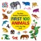 Carle, E: Very Hungry Caterpillar's First 100 Animals