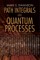 Path Integrals and Quantum Processes
