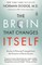 The Brain That Changes Itself