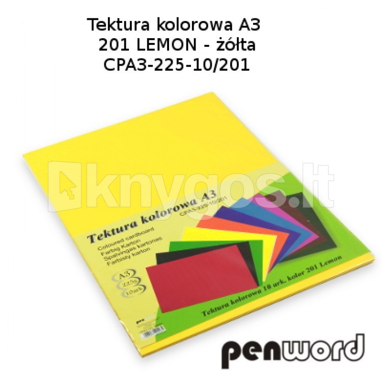 Kartons A3, 10 lapu, 225 g/m²