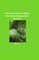 Advanced Topics in Global Information Management Volume 2