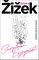 Zizek, S: Surplus-Enjoyment