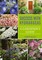 Ballato, L: Success With Hydrangeas