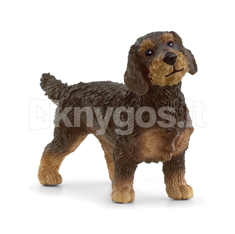 SCHLEICH FARM WORLD Asspalvainais taksis