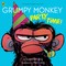 Lang, S: Grumpy Monkey Party Time!