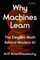 Ananthaswamy, A: Why Machines Learn