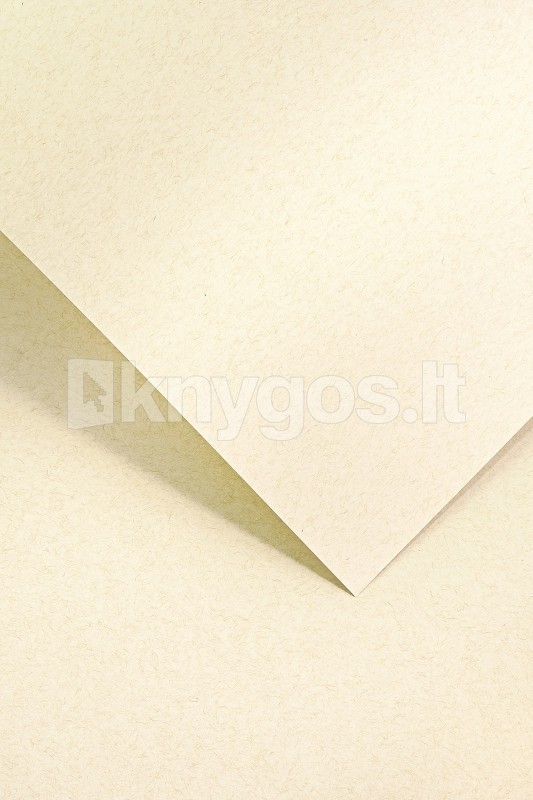 Galeria Papieru Dekoratīvais papīrs NATURE A4