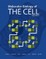 Molecular Biology of the Cell. The Problems Book