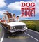 Dog on the Roof!