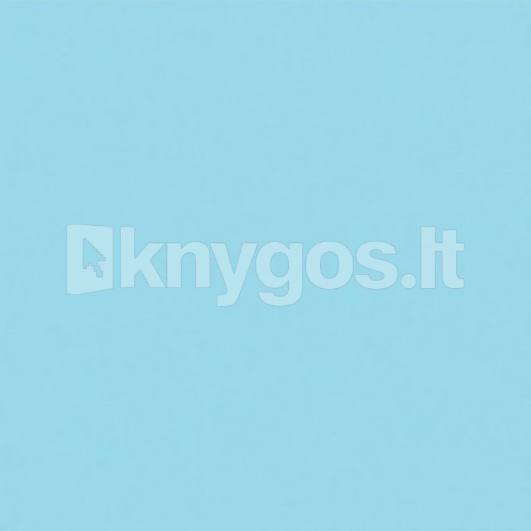 Krāsains papīrs A4 80 g/m², 100