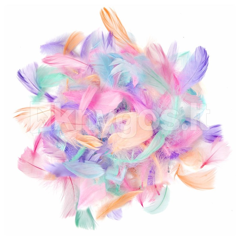 DallPrint Dekoratīvās spalvas 4–8 cm, 10
