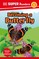Dk: DK Super Readers Level 1 Becoming a Butterfly