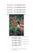 Zambreno, K: Light Room