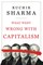 What Went Wrong with Capitalism