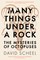 Many Things Under a Rock