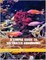 A Simple Guide to Saltwater Aquariums