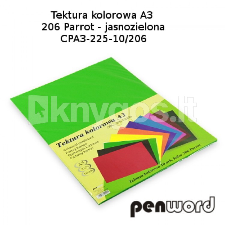 PenWord kartons A3, 10 lapu, 225