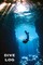 Newton, A: Dive Log
