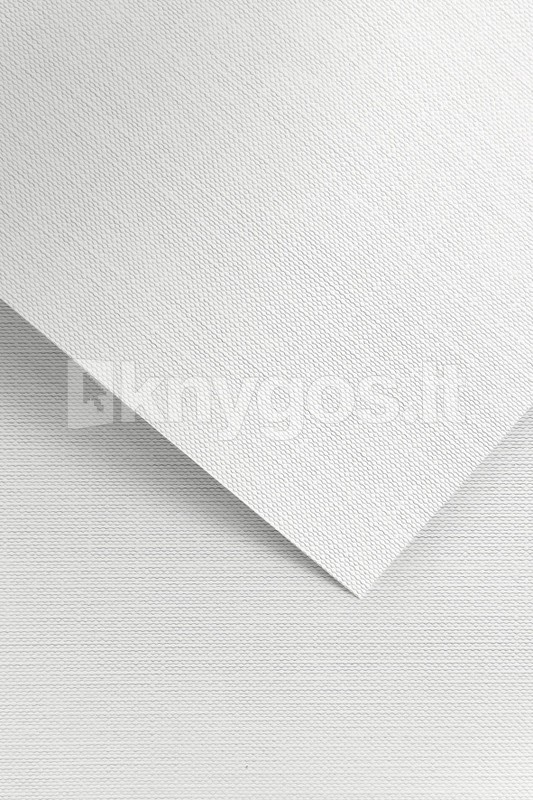 Galeria Papieru Dekoratīvais papīrs RYPS A4