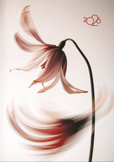 2026. gada A5 darba kalendārs MAIGUMS