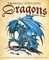 Staple, S: Drawing Fantastic Dragons