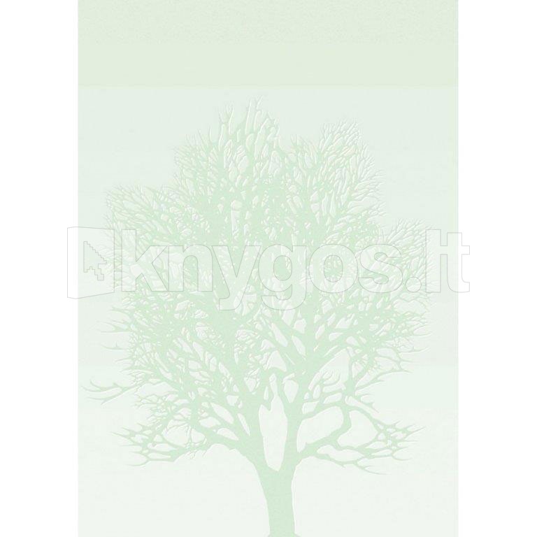 Dekoratīvais papīrs 100 g — Koks