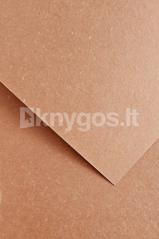 Galeria Papieru Dekoratīvais papīrs WOOD A4
