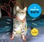 I Draw on Cats