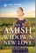 An Amish Widow's New Love