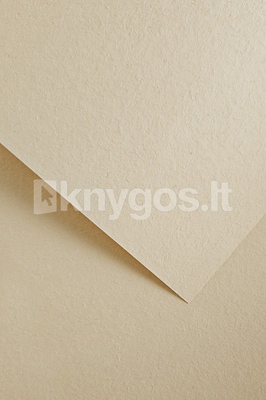 Galeria Papieru Dekoratīvais papīrs "WOOD&quot