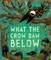 Tregoning, R: What the Crow Saw Below
