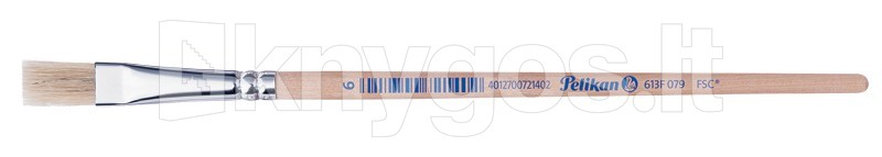 Pelikan Ota Nr. 613F, 6 plānie