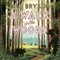 A Walk in the Woods