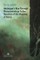 Heidegger's Way Through  Phenomenology To the  Question of the Meaning of Being