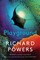Powers, R: Playground