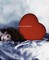 Guy Bourdin. A Message for You