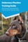 The Doberman Pinscher Care Guide