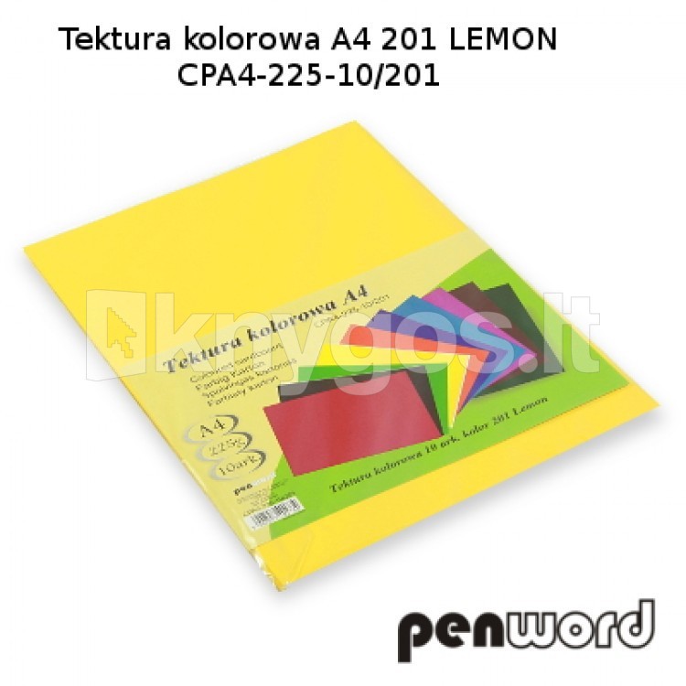 PenWord kartons A4, 225 g/m², 10