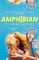Wetherall, T: Amphibian