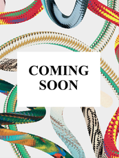 Ice Cold. A Hip-Hop Jewelry History. 45th Ed.