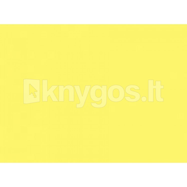 Krāsains papīrs A4, 80 g/m², 100